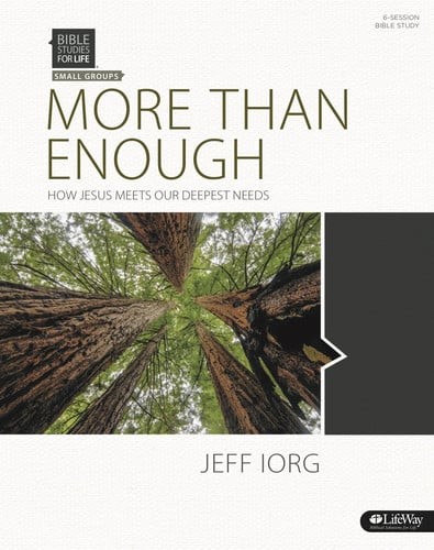 Bible studies for life more - for,